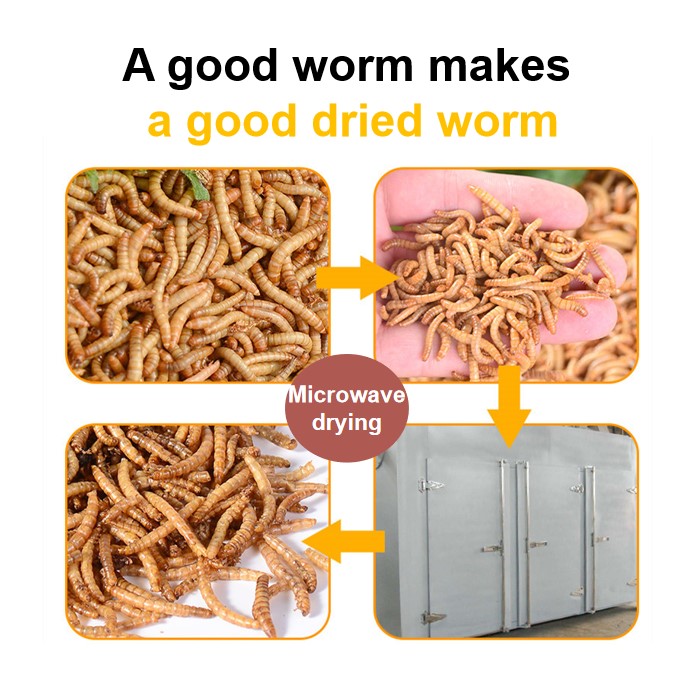 Best selling organic dried mealworm insect natural pet food,China price ...