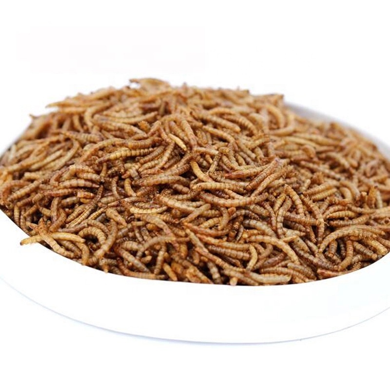 High Quality Pet Food Wholesale Factory Dry Tenebrio Molitor Mealworm ...