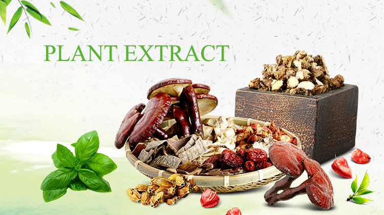 High quality pueraria extract kudzu root mirifica powder for puerarin supplement