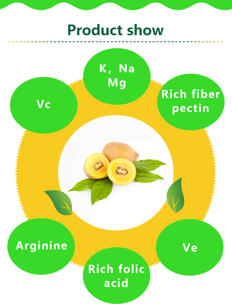 Factory Direct Sales Healthy Snacks Dry fruit Chinese Dried Kiwi Fruit