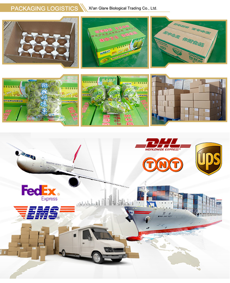 Factory Direct Sales Healthy Snacks Dry fruit Chinese Dried Kiwi Fruit