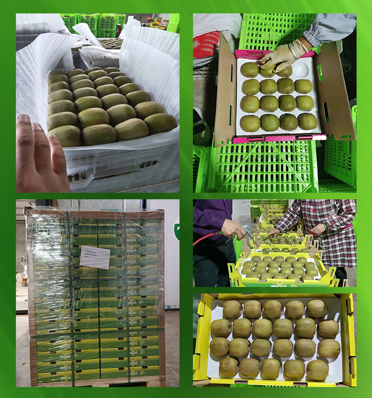 Great flavor sweet kiwifruit red kiwi fruit popular in Thailand