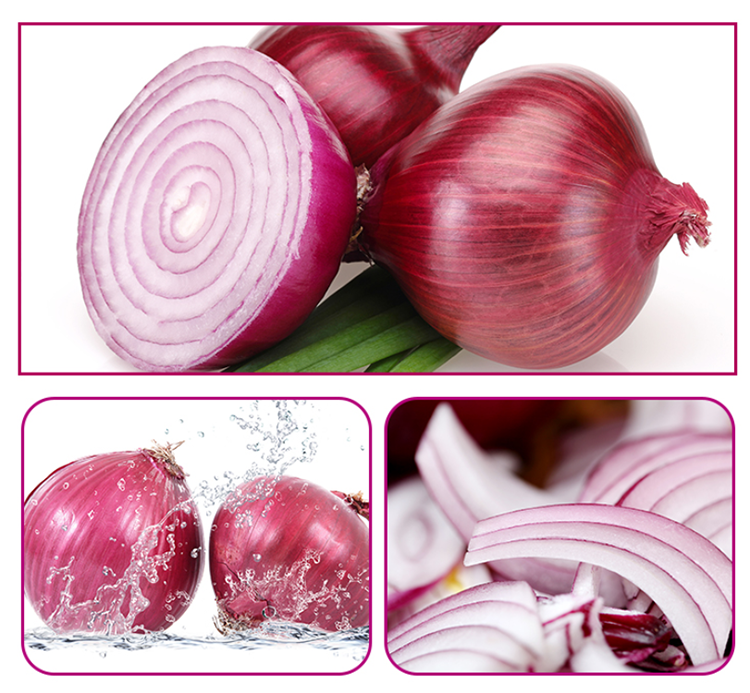 Round Shape and Liliaceous Vegetables Product Type Best Red Onion Supplier