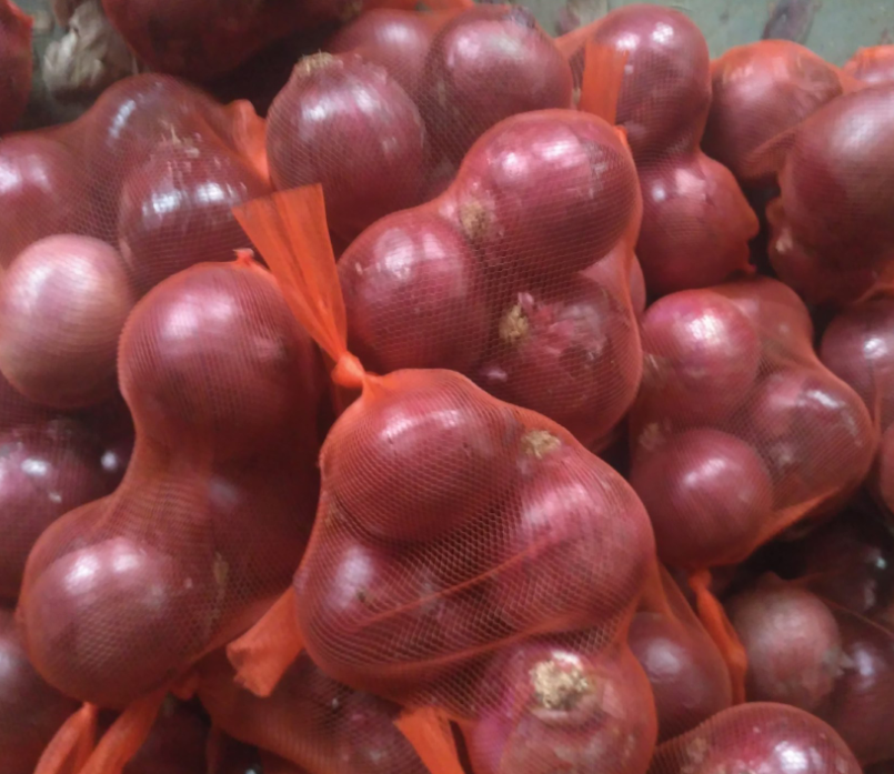High Nutritious Green Organic Fresh Onion for Sale