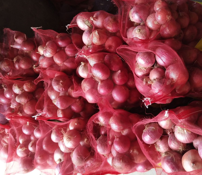 High Nutritious Green Organic Fresh Onion for Sale