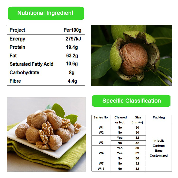 2019 Hot Selling washed xinjiang Walnut inshell Dry Fruit Snack