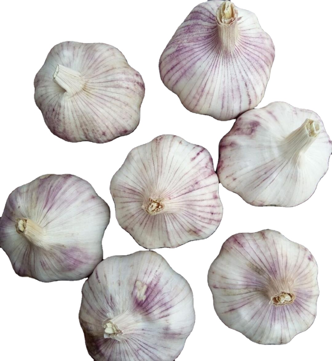 premium-quality-garlic-wholesale-price-for-export-from-china-china