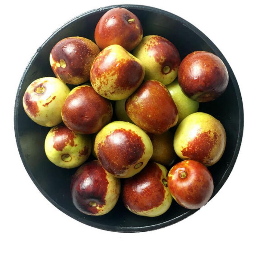 raw-of-fresh-chinese-dates-fruits-fresh-style-jujube-fruits-wholesale