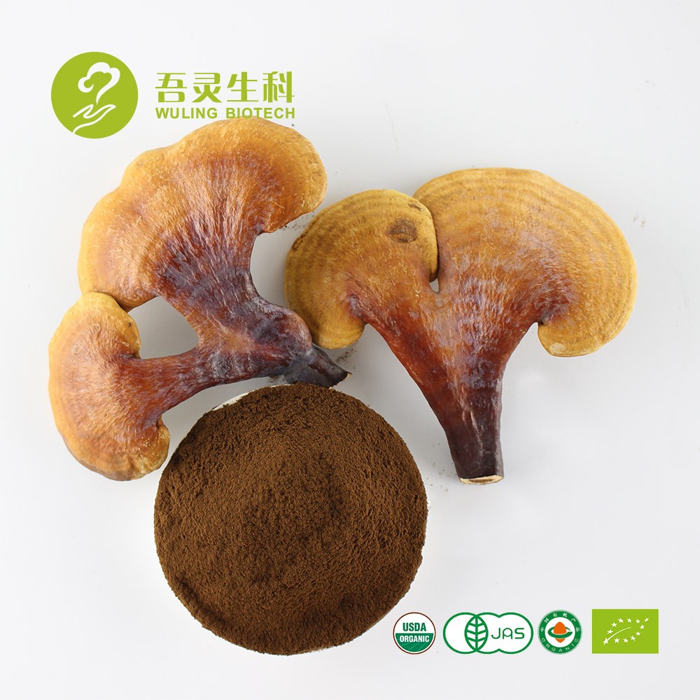 Wholesale Organic Ganoderma  Reishi Mushroom Extract Herbal Instant Coffee Powder