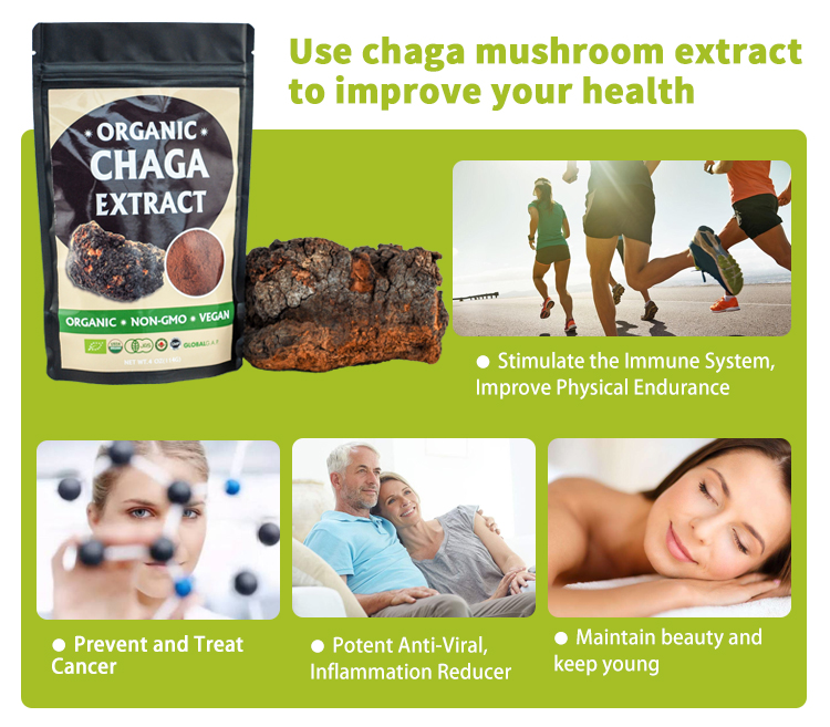 Premium Wild Harvested Siberian Bags Organic Chaga Mushroom Extract Powder