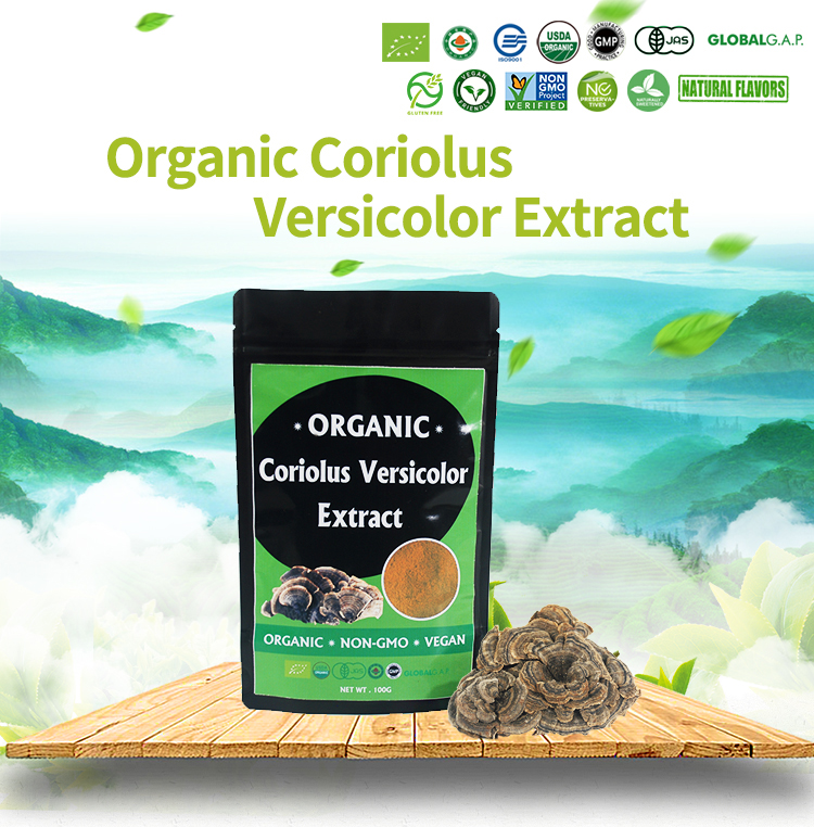 turkey tail mushrooms beta glucan for anti cancer
