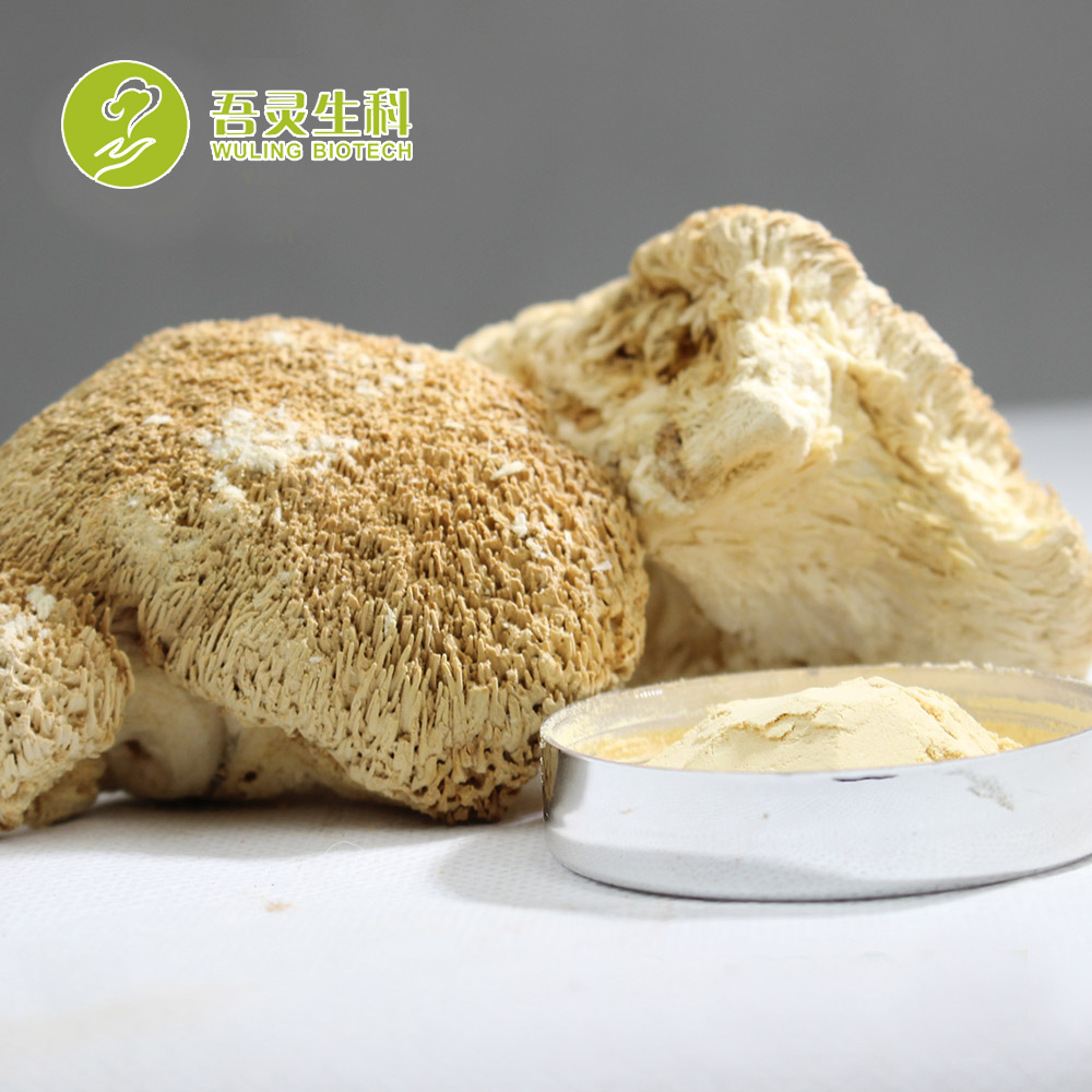 China healthy Gano coffee with 100% pure lingzhi extract powder