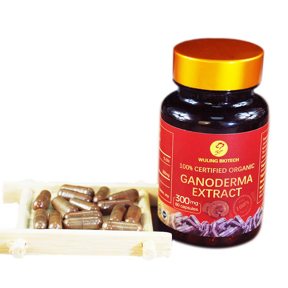 Lucid Ganoderma 100% Organic Red Reishi Mushroom Extract Powder ...