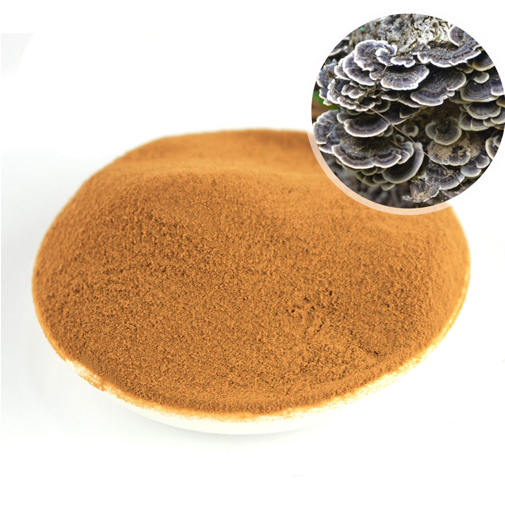 Herbal supplements Turkey Tail Extract Powder,China price supplier - 21food