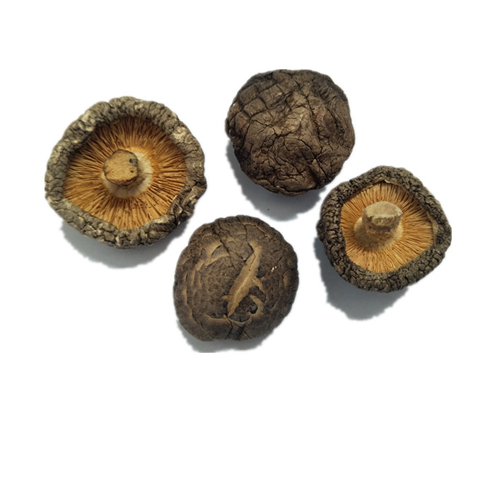 Dehydrated Shiitake Mushroom AD Processing Dried Champignon Best Quality