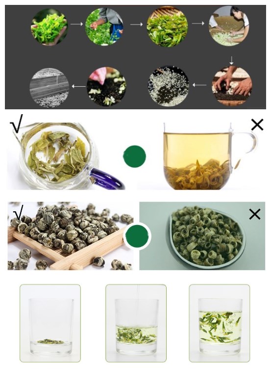 Mo li long zhu royal grade organic jasmine Green pearl tea pekoe tea jasmin
