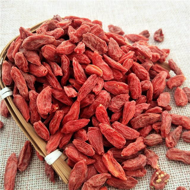 Gou qi new harvest Chinese Ningxia fresh red dried Goji Berry hot sale