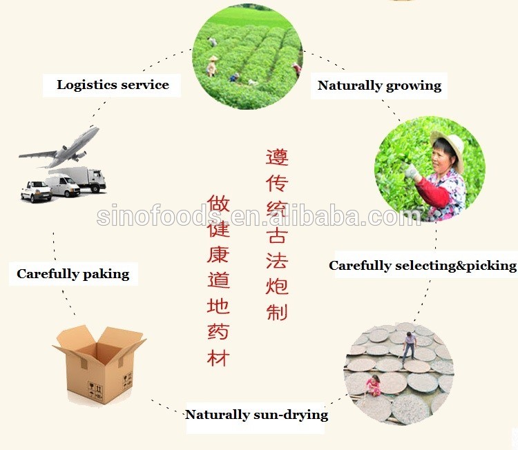 mi hou tao Rich In Vitamins 100% Natural Freeze Dried juice kiwi fruit powder
