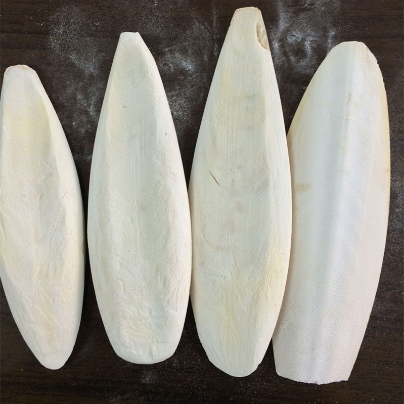 mo yu gu Навальная белая кость каракатицы сушеная кость каракатицы для фитотерапии