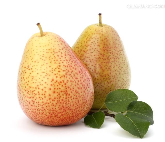 Li Shu Good Quality Fruit Seeds Growing Pear Tree products ...