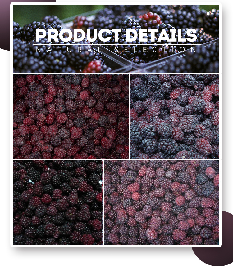 frozen blackberry fruits