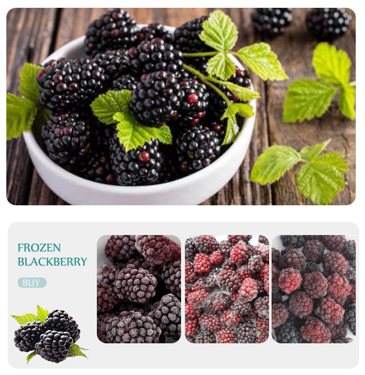 frozen blackberry fruits
