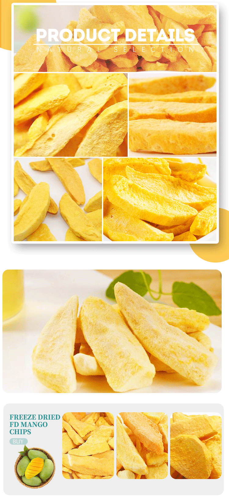 Freeze Dried FD mango chips