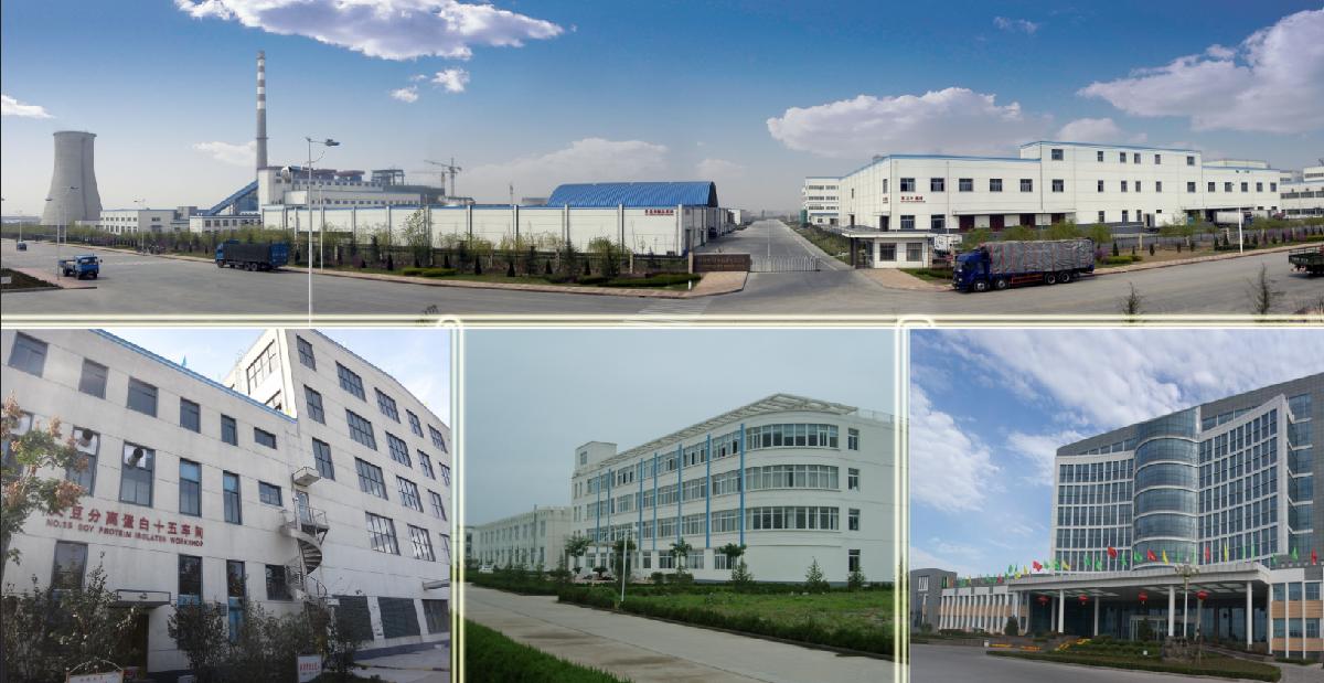 90% ISP Isolated Soy Protein for meat product
