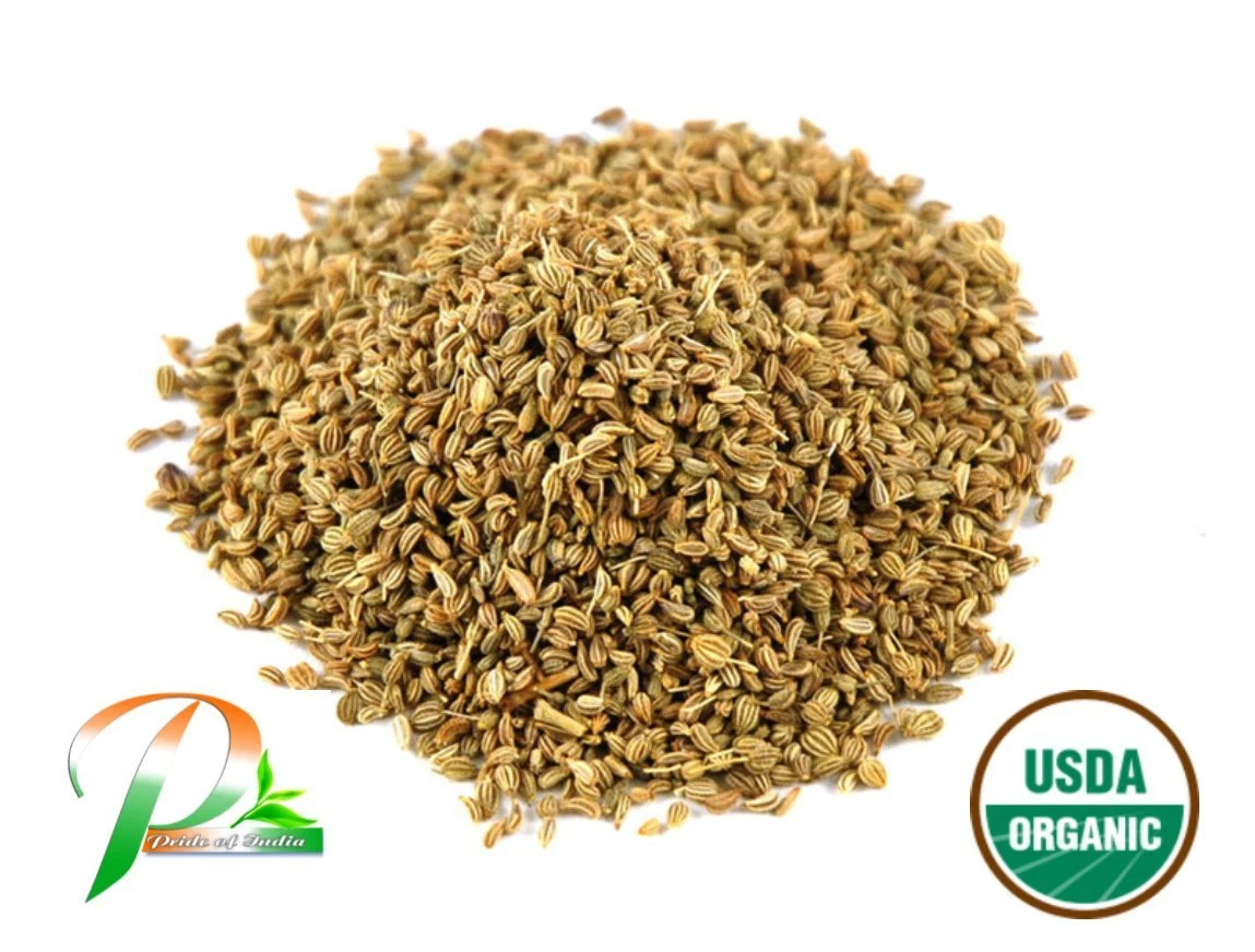 Pride Of India Organic Ajwain Seed Whole Bulk Pack 27 5 Lbs 12 5 Kg United States Price Supplier 21food