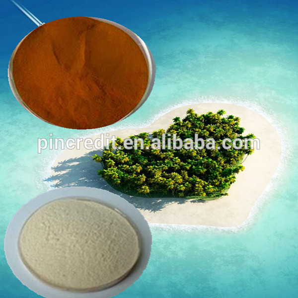100% Natural Extract Powder For Man Enhancement Yohimbe Bark Extract