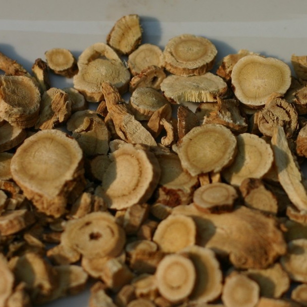 Astragalus Root P.E / astragalus extracts / 0.3% Astragaloside IV