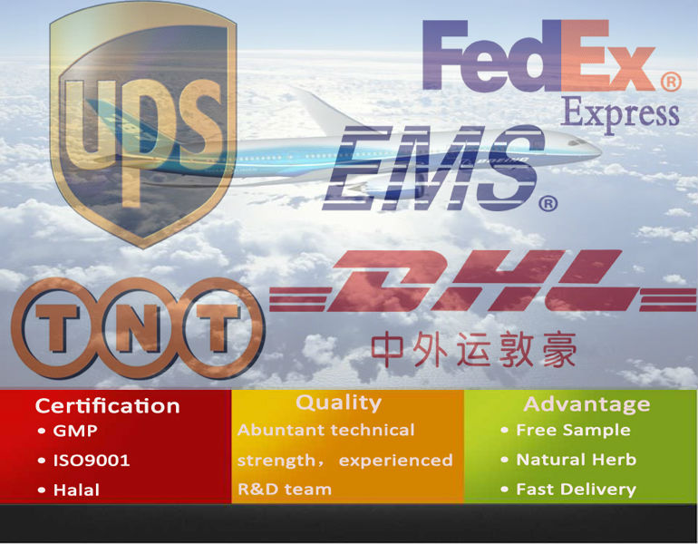 Astragalus Root P.E / astragalus extracts / 0.3% Astragaloside IV
