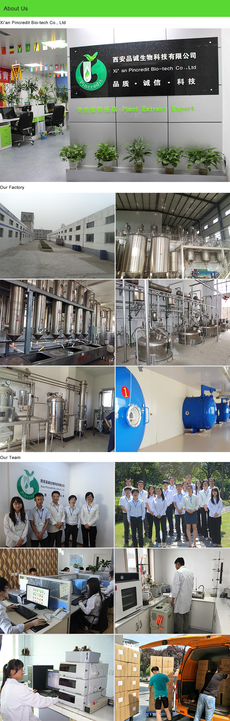 Wholesale Price Bulk Organic Barley Grass Powder