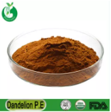 Pincredit OEM Astragalus Root Extract Powder Cycloastragenol