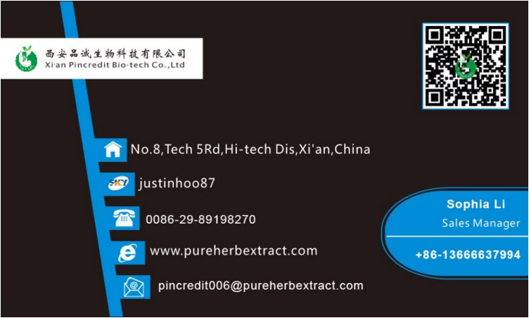 Pincredt Hot Sale Ginger Root Extract Gingerol 1% 5% 20% 40% Powder
