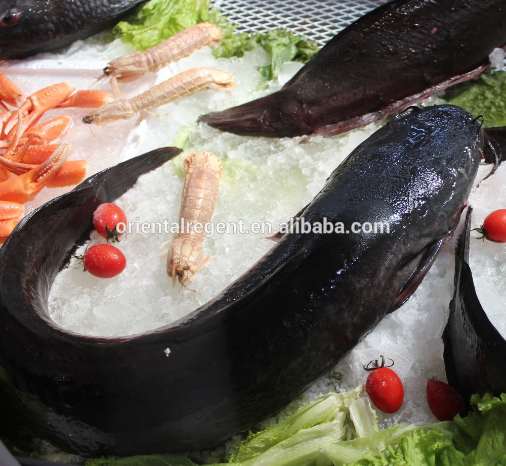 Ayang Supplier Seafood