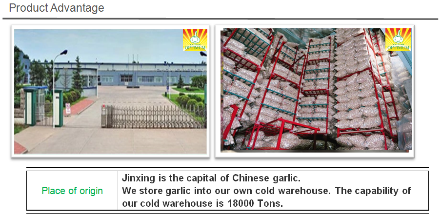 Pure white garlic price 2020 new crop from china for lower price