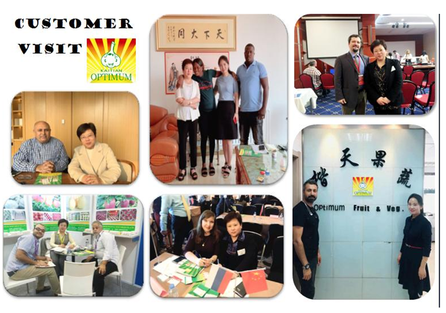 2020 China normal white fresh garlic price lower from China