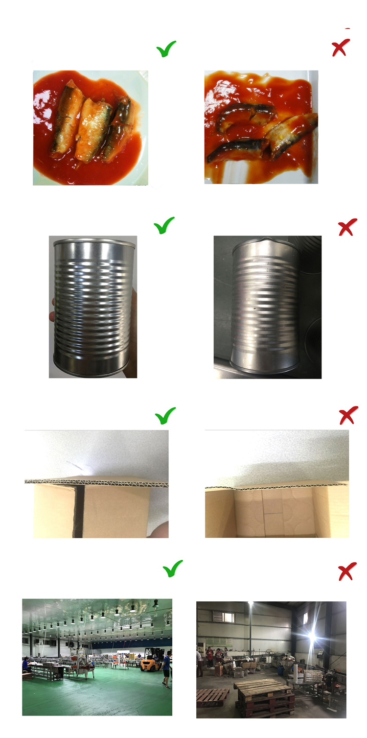 Types of canned sardine fish in tomato sauce