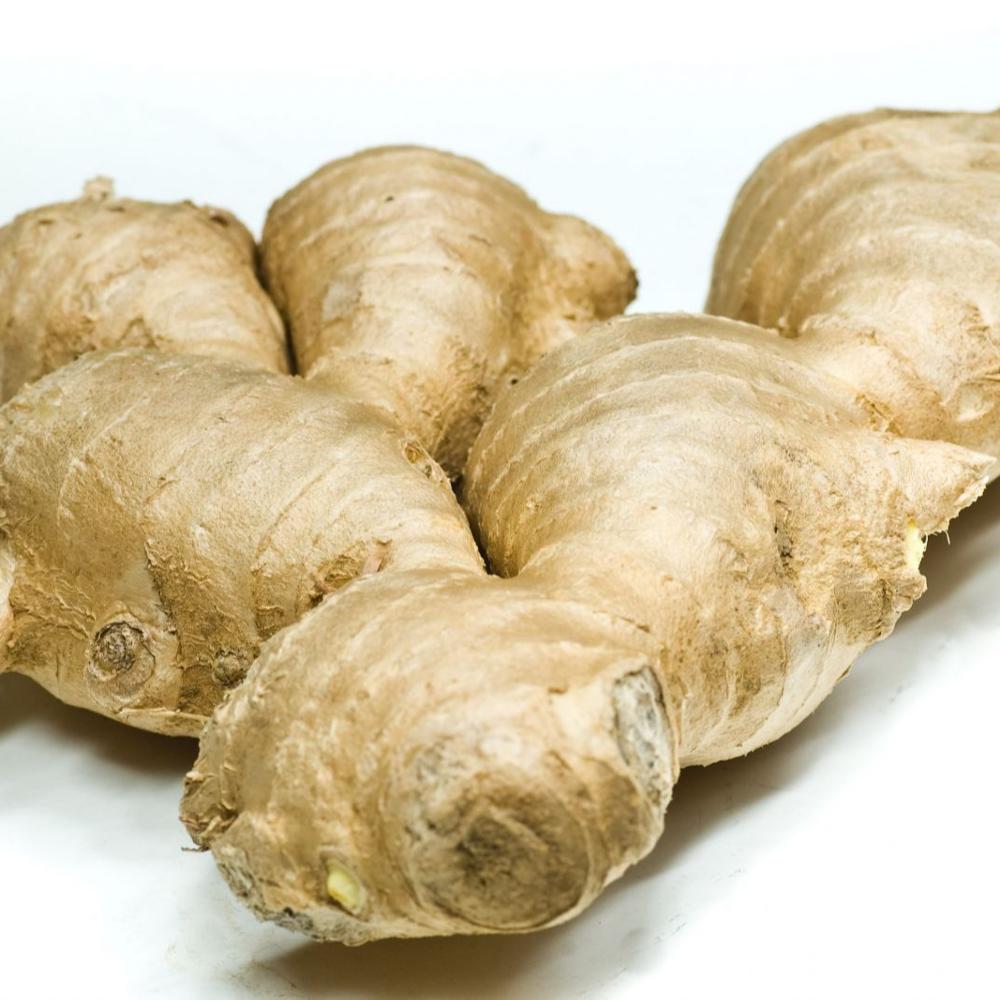 LATEST CROP FRESH GINGER FROM VIETNAM / CHEAP PRICE SPICES AND HERBS ...