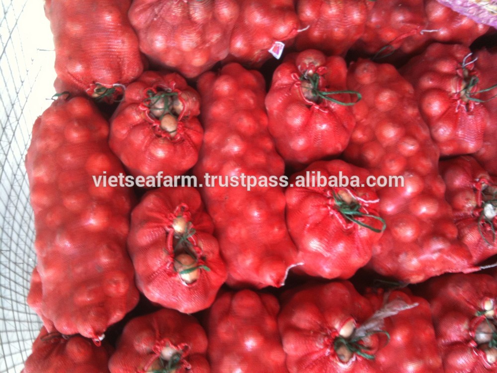 Fresh new harvest fresh red onion with great price