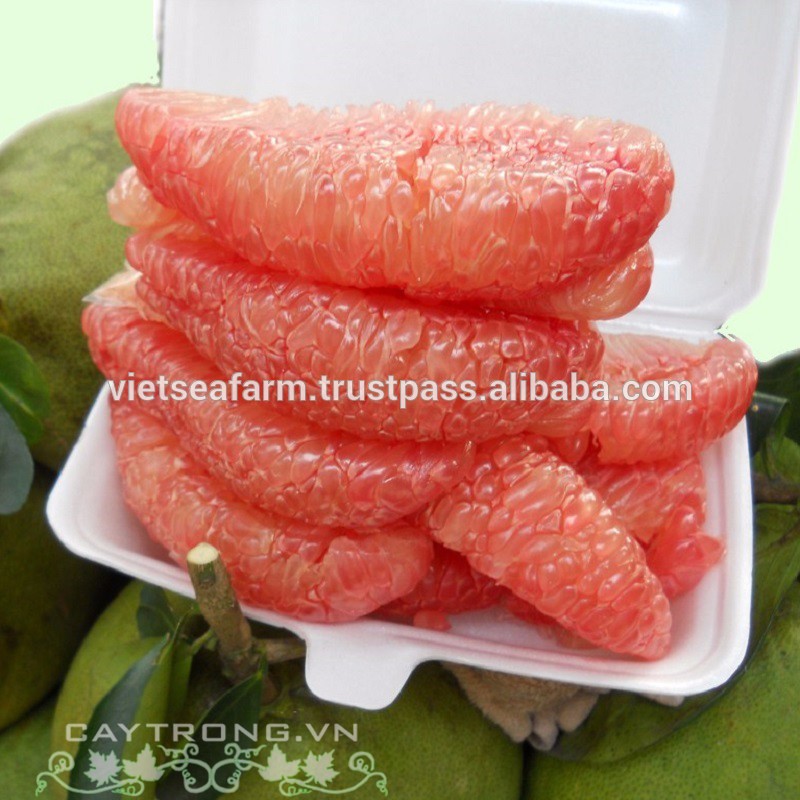 Grade A Fresh Pomelo for Export