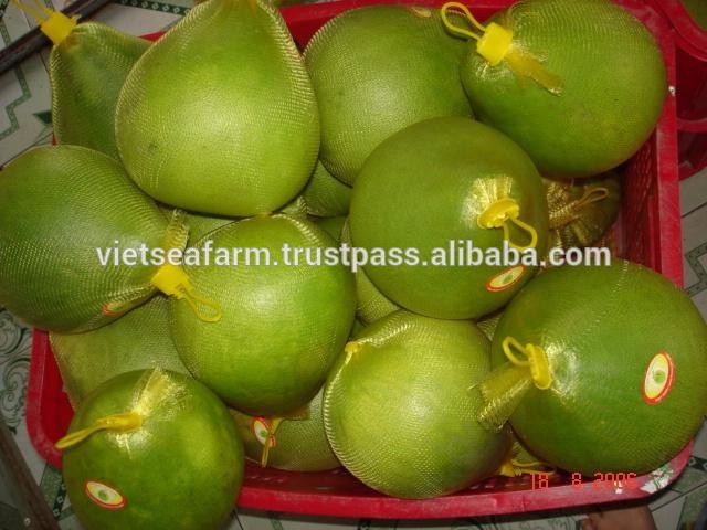 Grade A Fresh Pomelo for Export