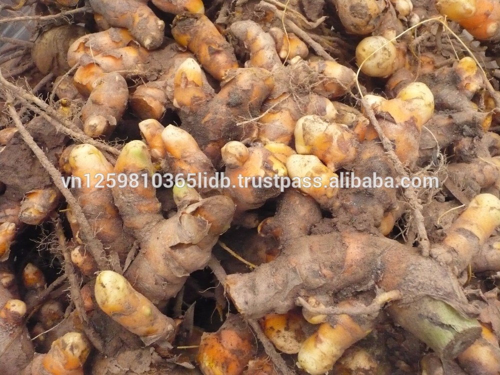 *VIETNAM* 100% Natural High Quality Fresh Turmeric For Export