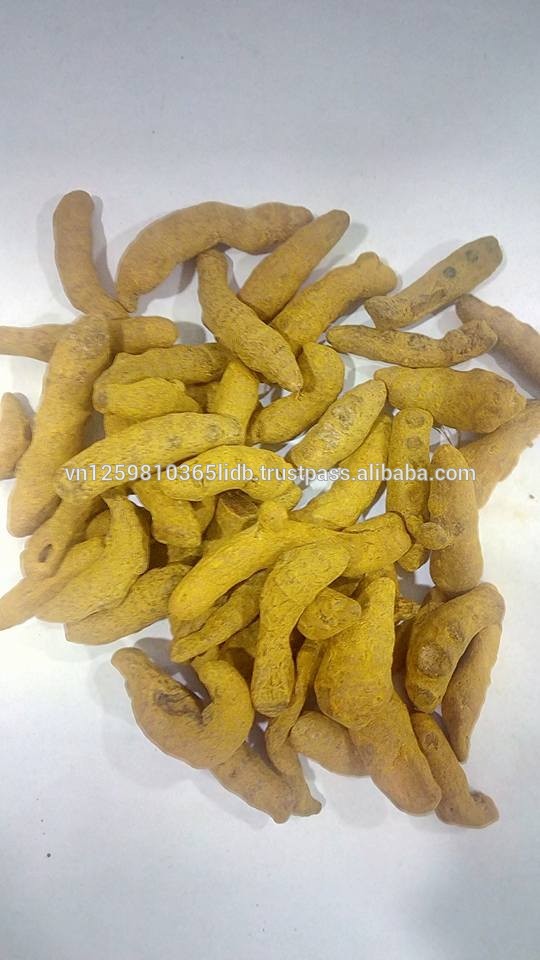 *VIETNAM* 100% Natural High Quality Fresh Turmeric For Export