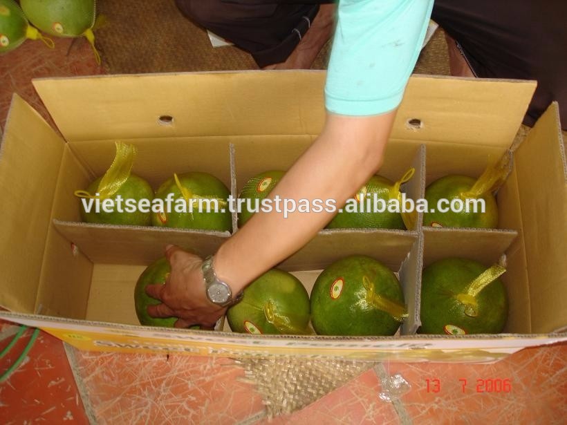 Fresh Green/Yellow Sweet Pomelo origin in Vietnam