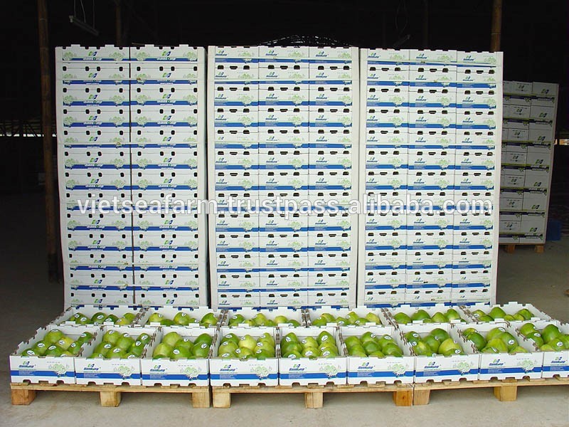 Premium Pomelo - Hot Price For Sale