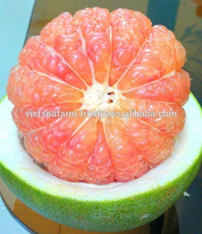 Fresh Grapefruit/ Pomelo with Most Competitive Price