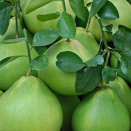 Fresh Green/Yellow Sweet Pomelo with the Best Price