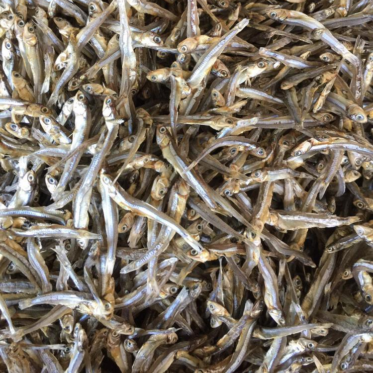 dried anchovy with reasonable price from Vietnam,Vietnam price supplier ...